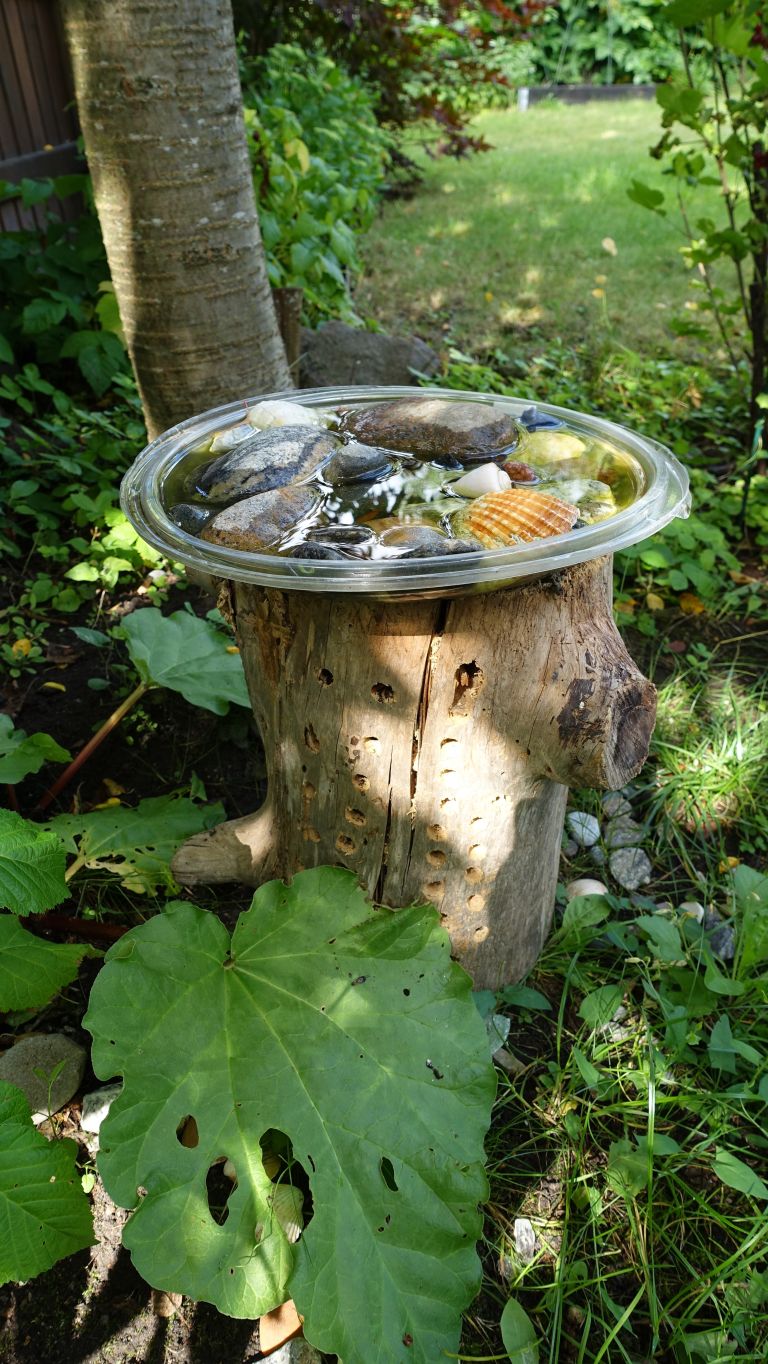 pitnik