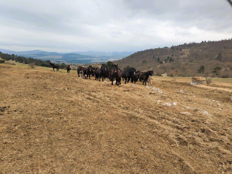 planinski-izlet, silentabor