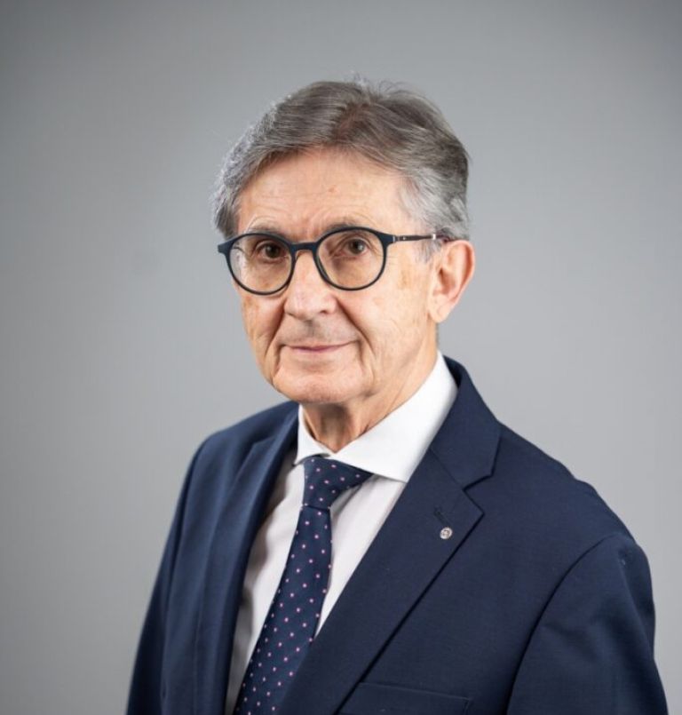 franc krizan demokrati xx.jpg