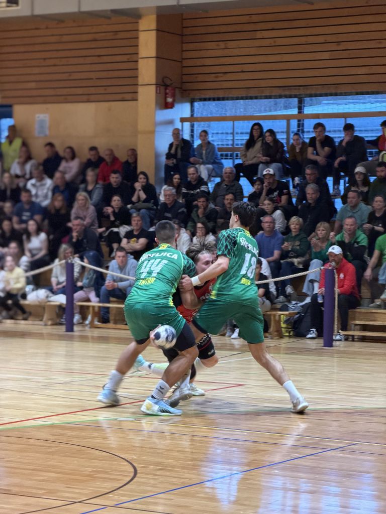 SVIS-Skofljica_Dominik_Pekec.jpg