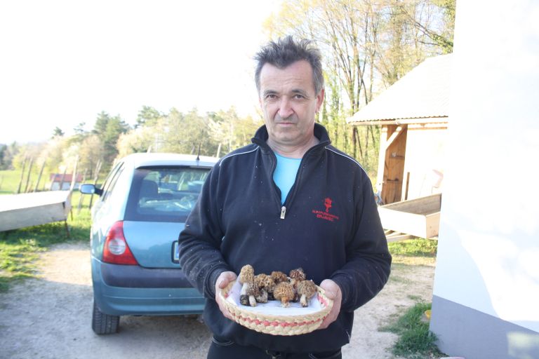 gobe, nabiranje-gob, mavrahi