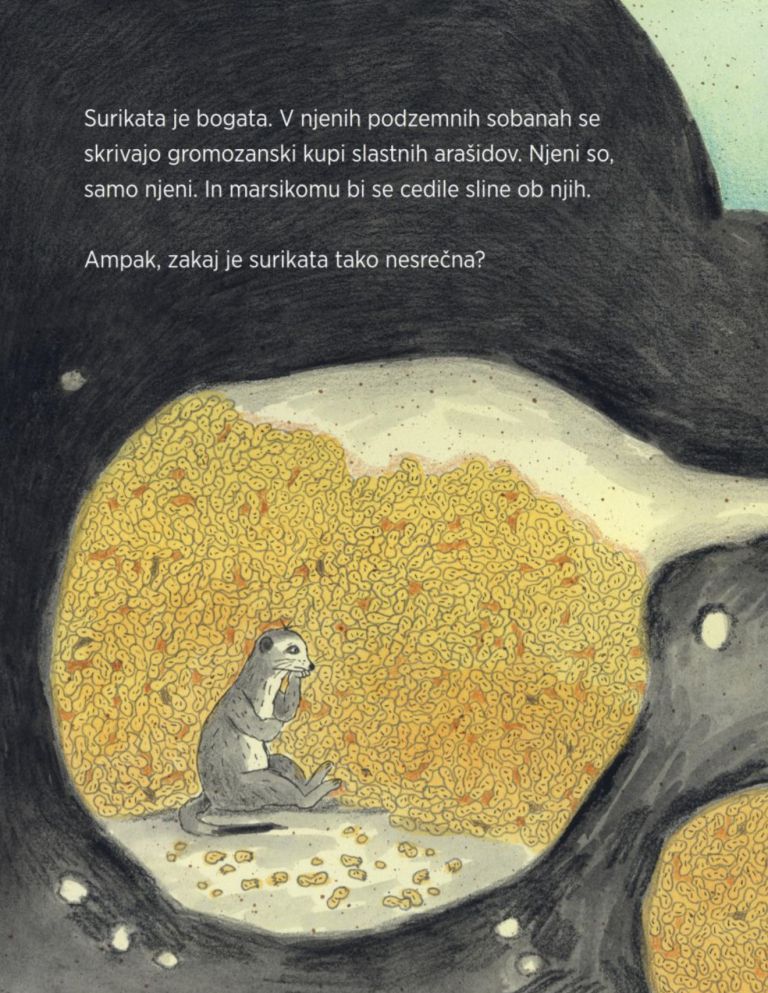Bogata surikata ni le slikanica, temveč povabilo k razmisleku o vrednotah, ki v sodobnem svetu pogos