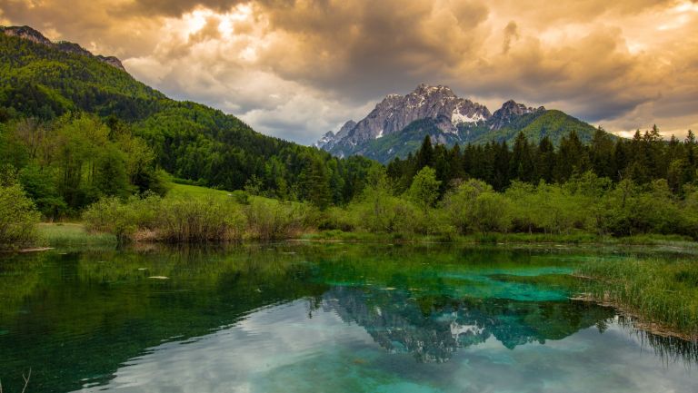 ZELENCI SPOMLADI3, CANVA (2).jpg