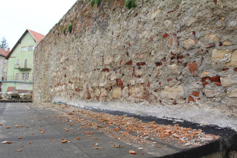 Zid dominikanec (3).JPG