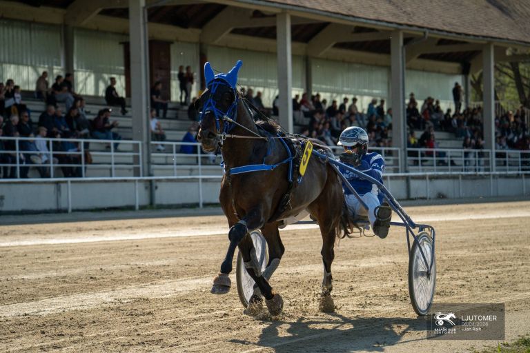 kasaske-dirke, ljutomer