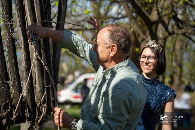 kasaske-dirke, ljutomer