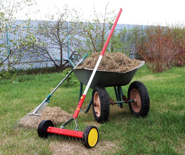 vrt-aprila, vrtnarska-dela