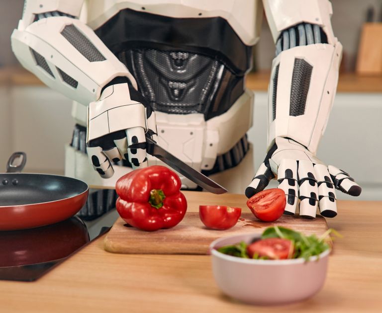 robot, humanoidni-robot