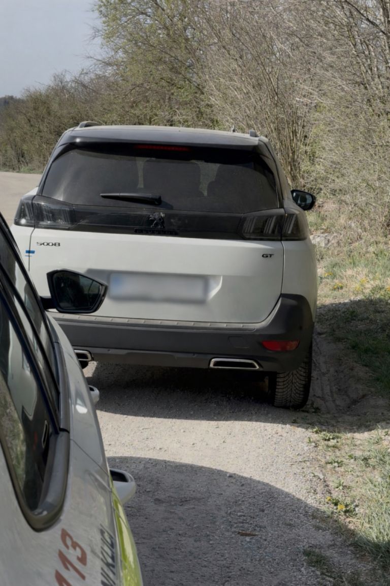 Bela Peugeot 3008 GT ob cesti.png