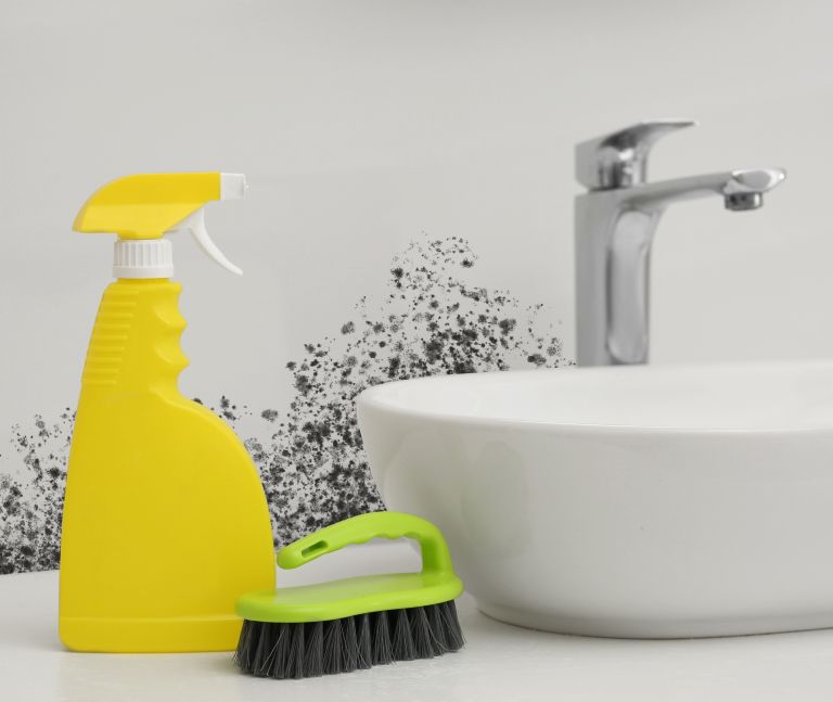 plesen-v-kopalnici, kopalnica