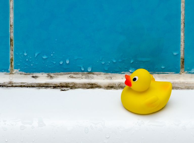 plesen-v-kopalnici, kopalnica