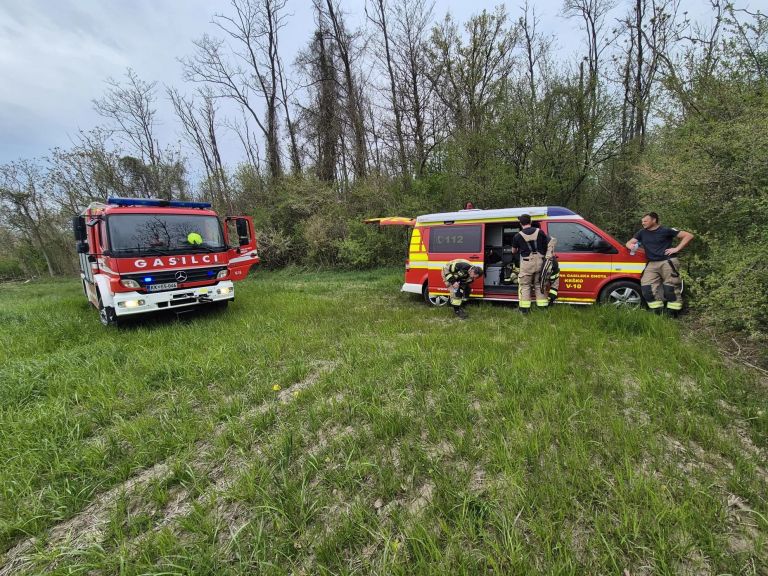 nesreca-v-gozdu, pge-krsko