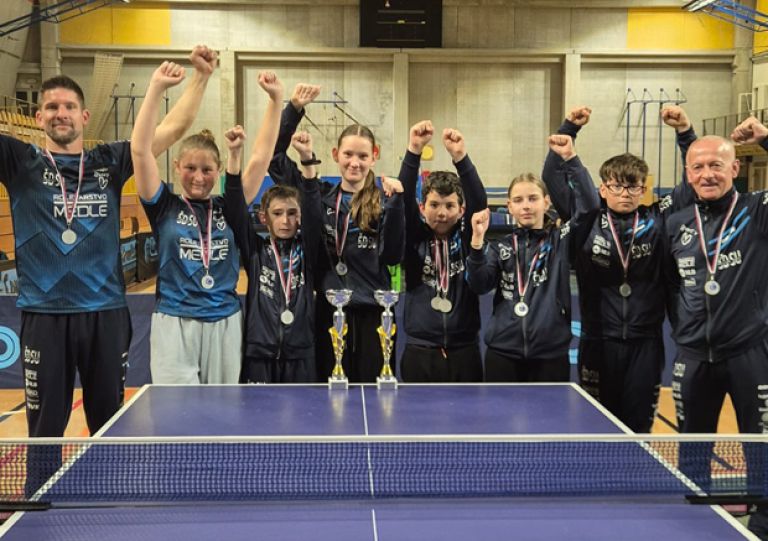 sd-su, namizni-tenis