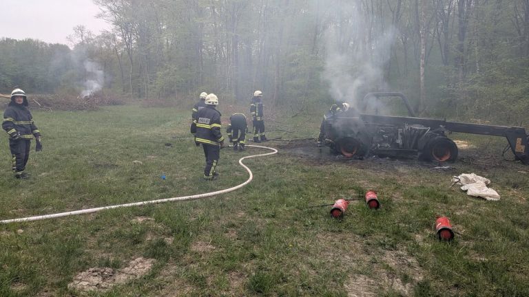pge-krsko, krakovski-gozd