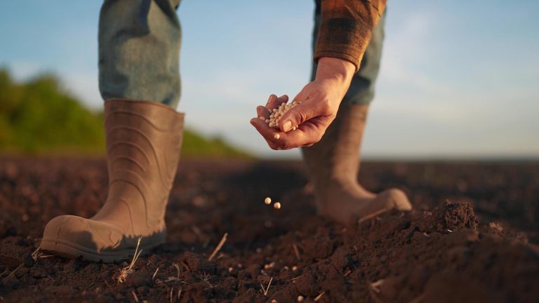 zivila semena shutter.jpg