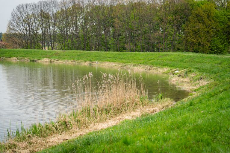 gajševsko-jezero, jezero