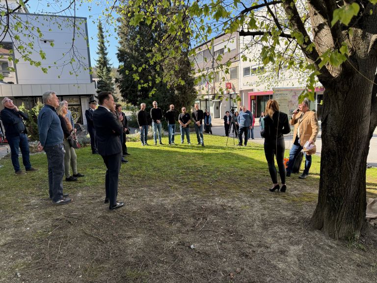 lipa-mesta-sentjur, drevo