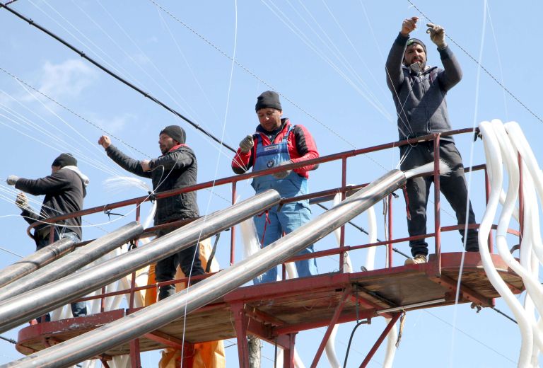 hmelj, delavci, vrvice