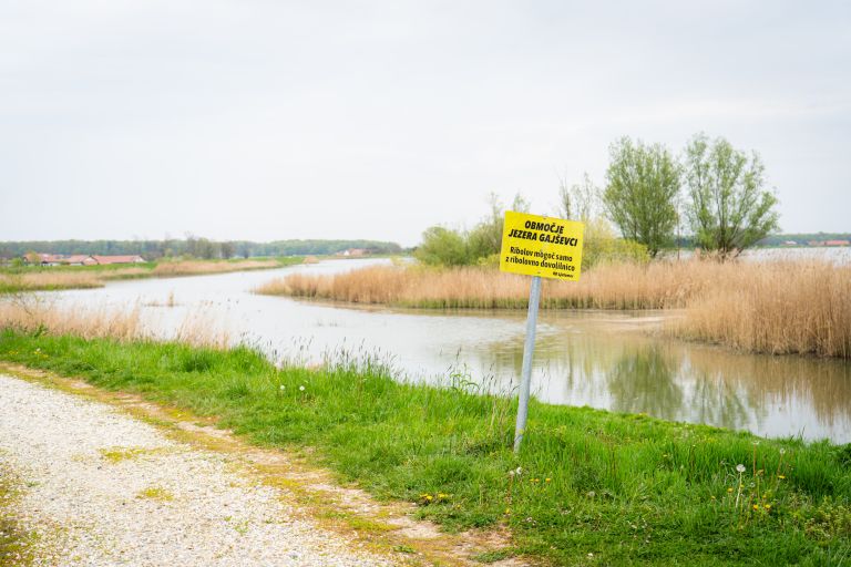 gajševsko-jezero, jezero