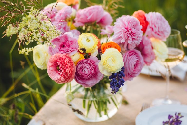 vrtnice, rezano-cvetje