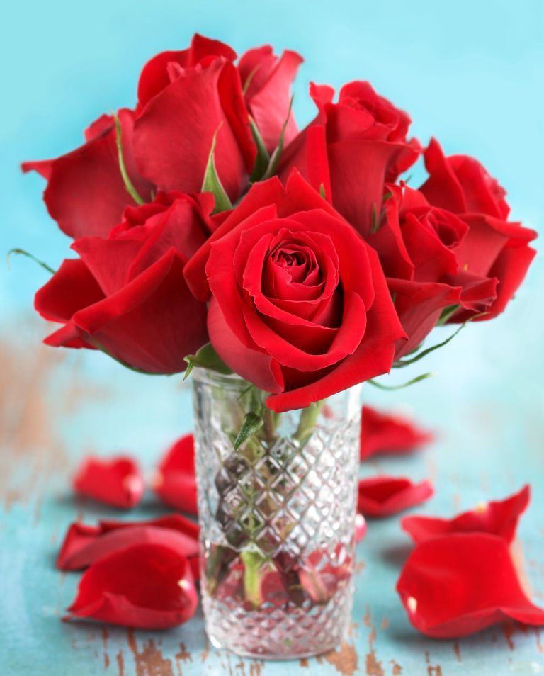 vrtnice, rezano-cvetje