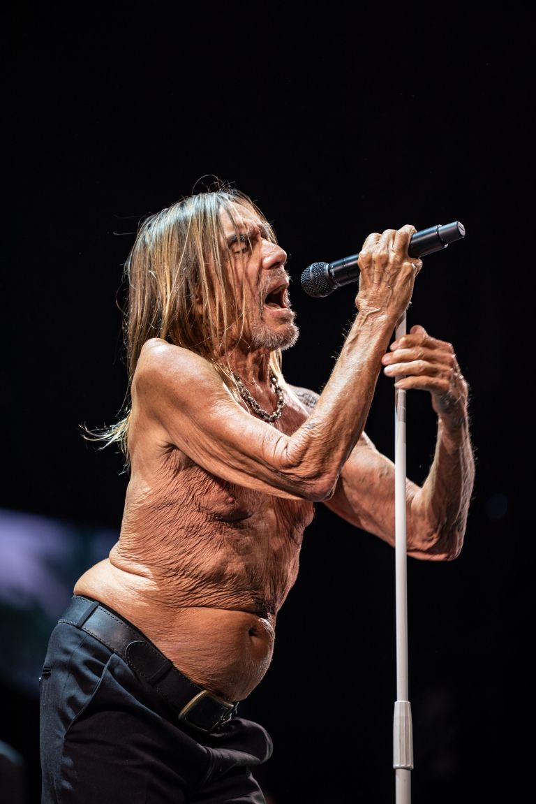 iggy pop 2.jpg