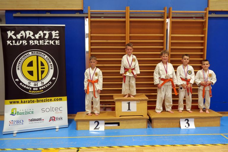 os-pokal-posavja, kk-brezice-soltec