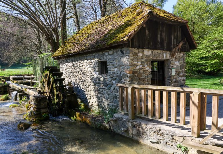 mozirski-gaj, mozirski-gaj-park-cvetja, razstava-pomladnega-cvetja, 48-razstava-pomladnega-cvetja, tulipani, cvetlice, roze