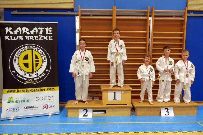 os-pokal-posavja, kk-brezice-soltec