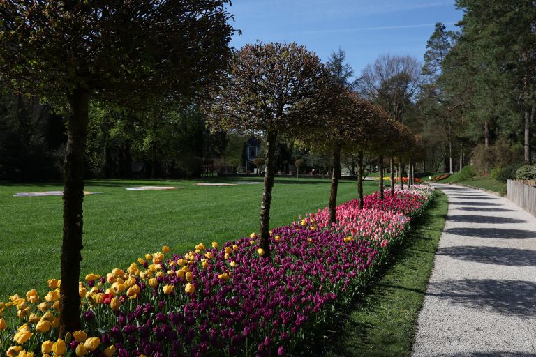 mozirski-gaj, mozirski-gaj-park-cvetja, razstava-pomladnega-cvetja, 48-razstava-pomladnega-cvetja, tulipani, cvetlice, roze