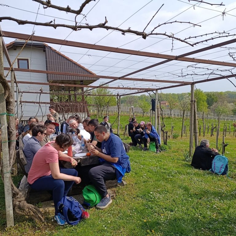 vdc-murska-sobota, pohod