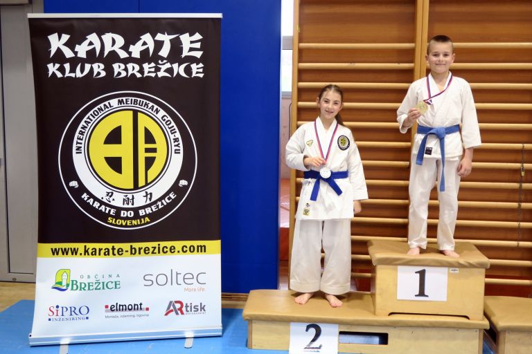 os-pokal-posavja, kk-brezice-soltec