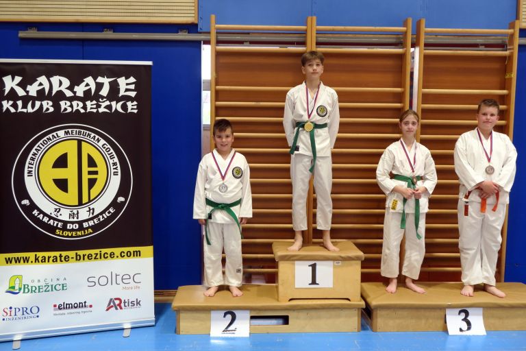 os-pokal-posavja, kk-brezice-soltec
