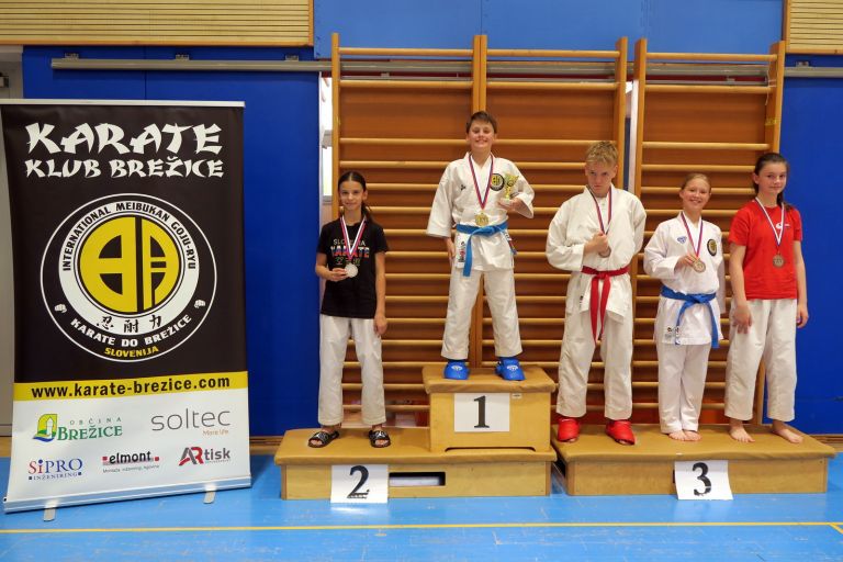 os-pokal-posavja, kk-brezice-soltec