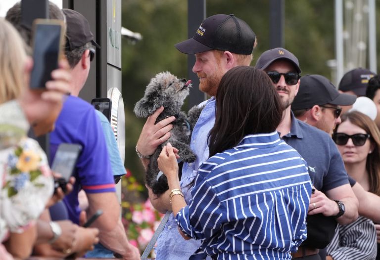 Harry je očitno priljubljen tudi med štirinožci.