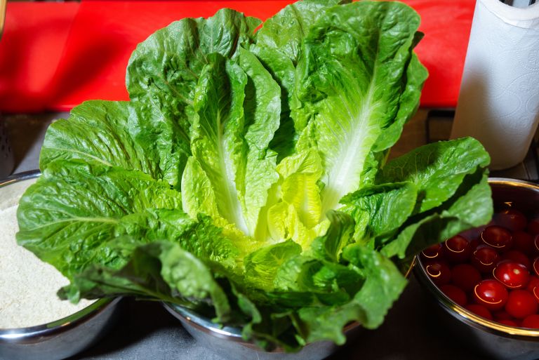 zelenjava, sveza-zelenjava