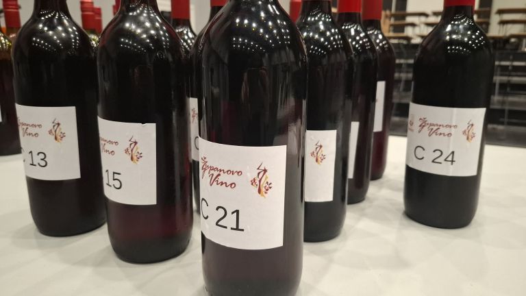 zptm, ocenjevanje-vin, zupanovo-vino