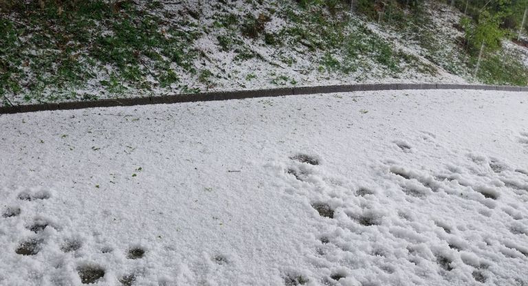 rovte nad logatcem sandi alič.jpg