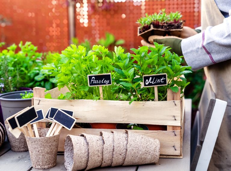 meta, balkon, zelisca