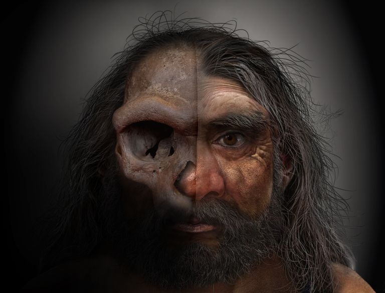 hominid_1.jpg