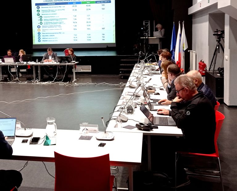 seja-breziskega-obcinskega-sveta-2442026, brezisko-staro-mestno-jedro