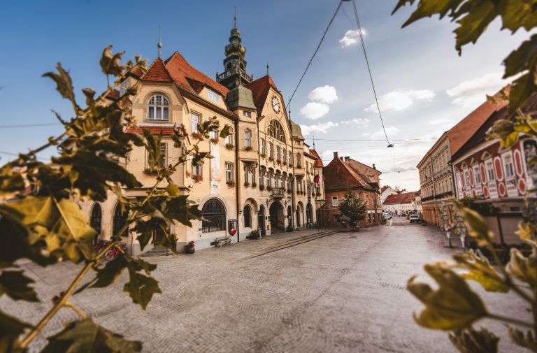 MZ Pogovor praznik Ptuj 4.jpg