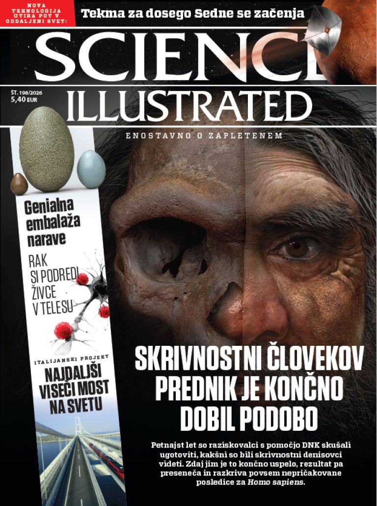 Screenshot 2026-04-21 132949.png