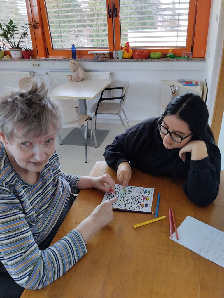 vdc-toncke-hocevar, vdc