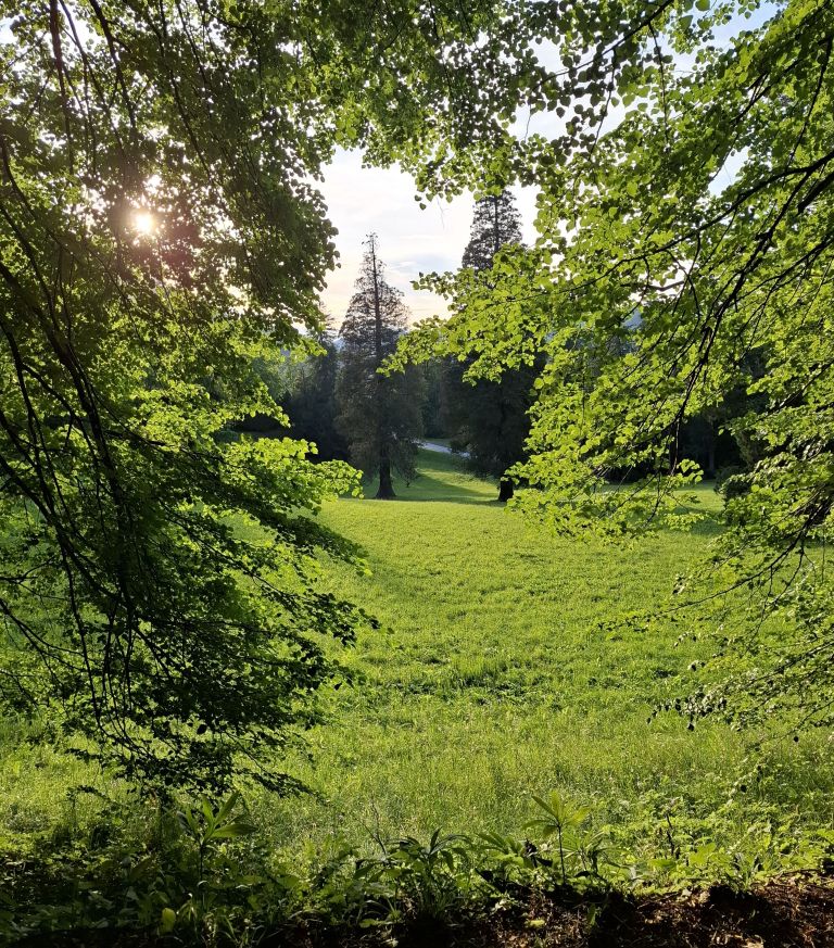 dan-zemlje