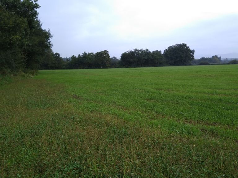 dan-zemlje