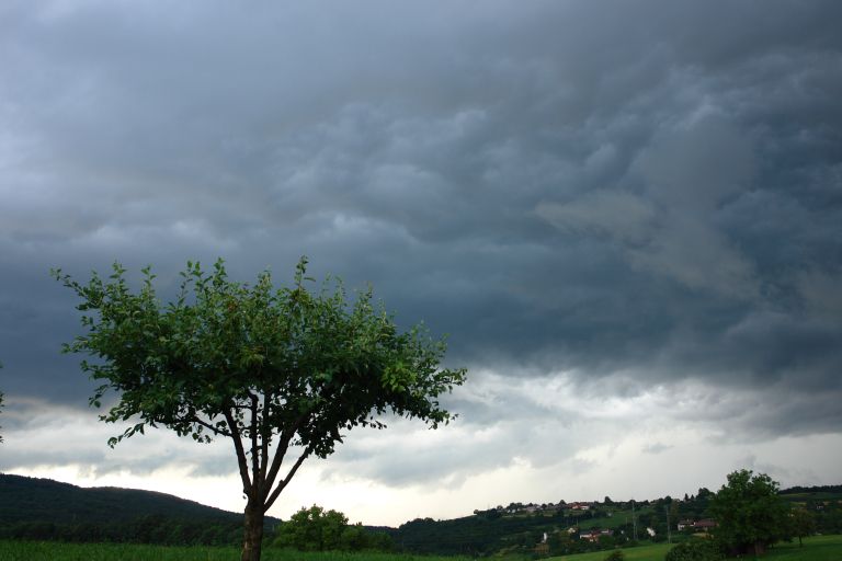 dan-zemlje