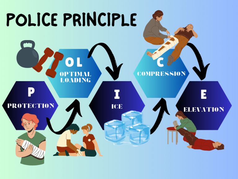 POLICE_PRINCIPLE_CHART.png