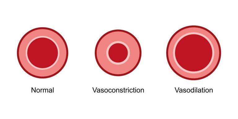 vasoconstriction.jpg