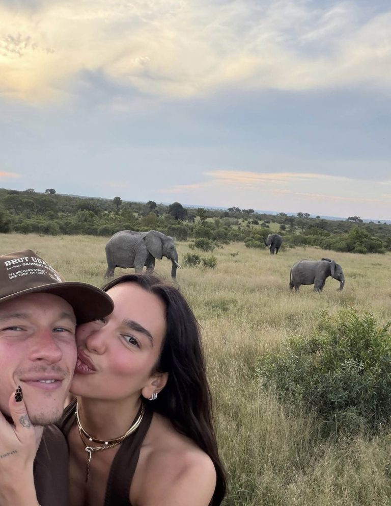 dua-lipa, callum-turner
